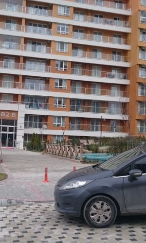 montaj_19 montaj_19